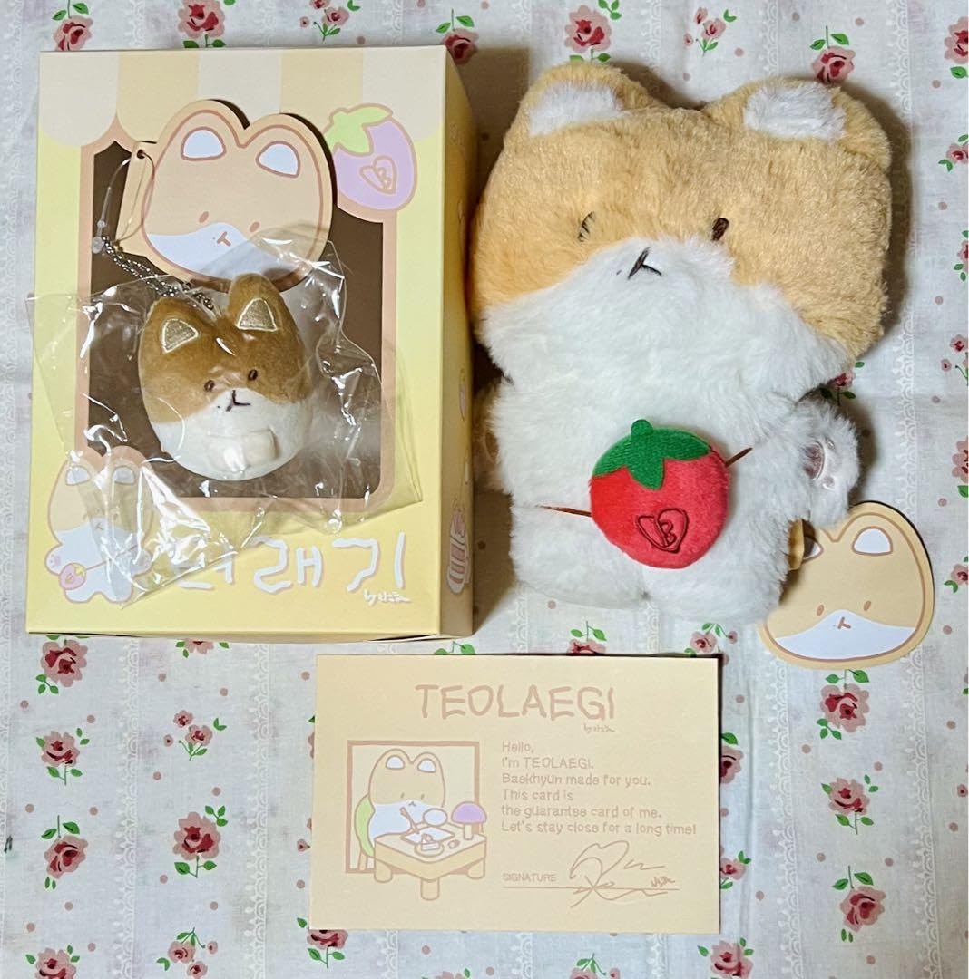 EXO】ベッキョンTEOLAEGIAR SET トレギ20cmぬいぐるみ